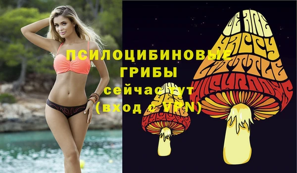 эйфоретик Пересвет