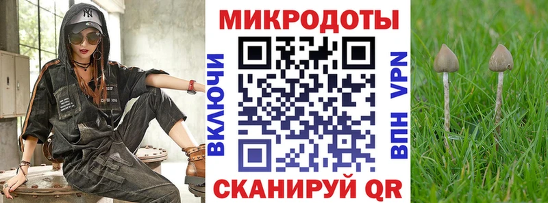 Псилоцибиновые грибы мицелий  Купить  Арзамас 